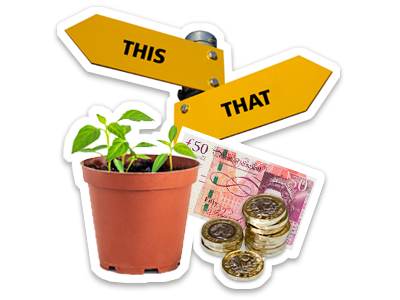 A sign, with different arrows pointing to this and that, stood next to a small plant pot with a green plant growing. There's also a separate pile of coins and a £50 note