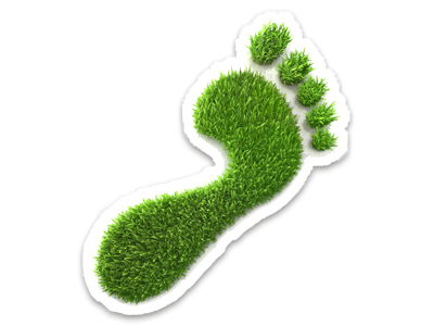 A footprint made from green foliage